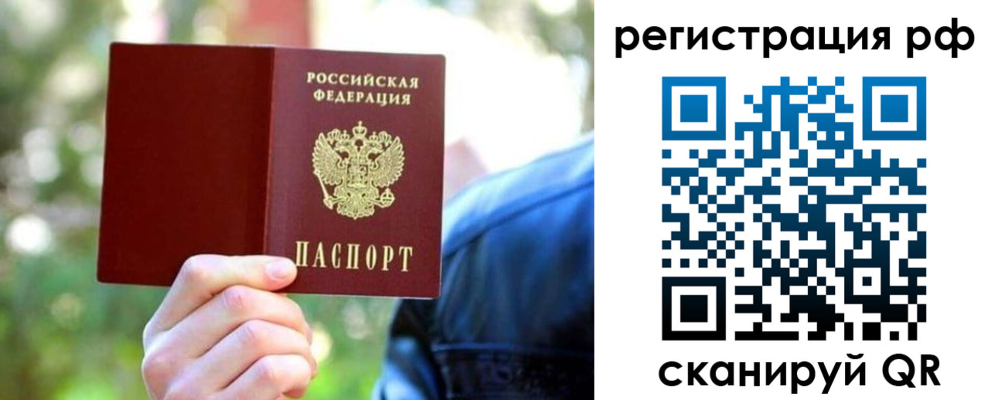прописка поиск в Брянской области